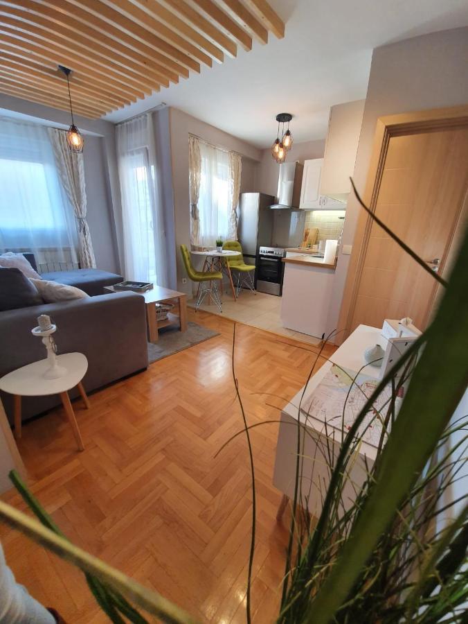 Apartment Cerska Mrb 贝尔格莱德 外观 照片